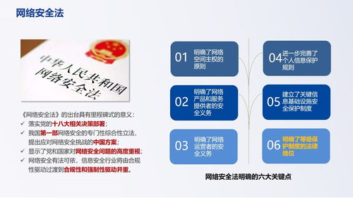 網(wǎng)絡(luò)安全基礎(chǔ)知識(shí)及安全意識(shí)培訓(xùn)總結(jié)報(bào)告